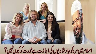 Dr Zakir Naik Urdu Speechquot Why are Muslims allowed to marry up to four womenIslamic Bayan in Hindi [upl. by Erline384]