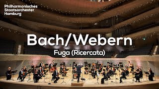 Bach Fuga Ricercata a 6 voci Nr 2 BWV 1079  Ingo Metzmacher Philharmonisches Staatsorchester [upl. by Miharbi953]