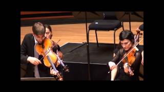 Telemann double viola concerto pour deux altos [upl. by Bellew]