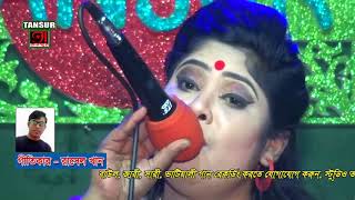 পুতুল সরকারের উদাস করা বিচ্ছেদ ll PUTUL SARKAR ll পাগলও বানাইয়া আমায় গো [upl. by Niamart371]