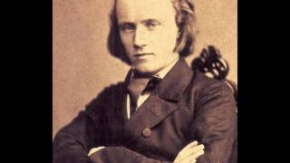 Brahms  Symphony No 4 in E minor  I Allegro non troppo Celibidache [upl. by Noyes]