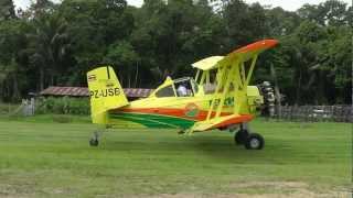 Ag Cat Demo at Henry Alwies airstrip [upl. by Eelrac]