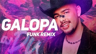 PEDRO SAMPAIO  GALOPA FUNK REMIX DJ DW [upl. by Kerred]