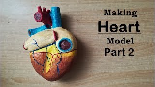 Making Human Heart Model  Part 22 [upl. by Eissoj467]