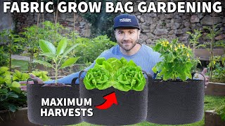 How to Turn A Fabric Grow Bag Into A Beautiful Concrete  Cement Raised Bed Planter [upl. by Columbus]