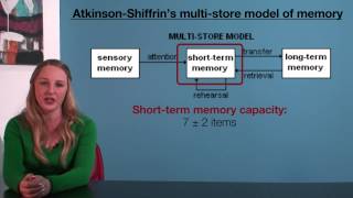 VCE Psychology  AtkinsonShiffrins MultiStore Model of Memory [upl. by Ioved]