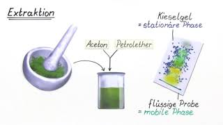 ST  Chromatographie von Blattfa [upl. by Reich]