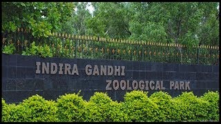 Indira Gandhi Zoological Park VIZAG  Zoo Tour with Pranav [upl. by Mutat]