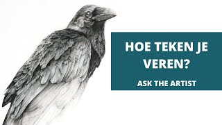 HOE TEKEN JE VEREN Mijn Huginn en Muninn project [upl. by Stroud]