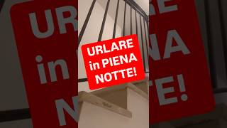 DIRITTOINPILLOLE  URLARE in PIENA NOTTE [upl. by Herrera]