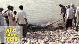 Hindu funeral rites at Chandi ghat of Haridwar [upl. by Seavey]