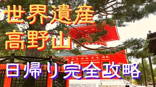 【高野山観光】日帰りにおすすめのスポットを完全攻略（奥の院～金剛峯寺～壇上伽藍を効率良く網羅） [upl. by Acysej801]