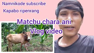 Matchu charaani vlog video full  Garo dance 10 [upl. by Peony]