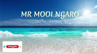 MR MOOI NGARO 2024 MBEKUPONDA RAYMO WEDDING SONG [upl. by Ahsied]