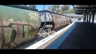 QL002 CF4422 23 going thru Beecroft Station in February 2024 [upl. by Shaefer72]