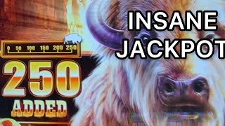 OMG 250 CHIEF HEADS BUCKET LIST ACHIEVED BUFFALO CHIEF SLOT [upl. by Zendah]