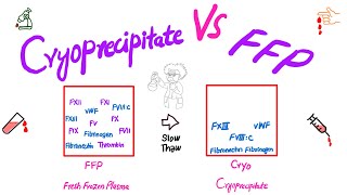 Cryoprecipitate vs FFPFresh Frozen Plasma [upl. by Akinit487]