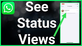 Can You See How Many Times Someone Has Viewed Your WhatsApp Status [upl. by Catton12]