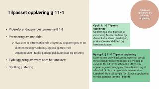 Tilpasset opplæring og individuell tilrettelegging  Ny Opplæringslov 13 mars [upl. by Delila]