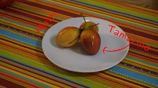 Tasting Tamarillo Tree Tomato  fruit that rich of potassium and vitamin C [upl. by Conway]