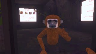 Playing Monkey Mischief [upl. by Nostaw]