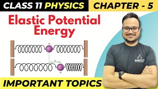 Elastic Potential Energy of a Spring Derivation  Class 11 Physics Chapter 5  Important Topics [upl. by Ellyn]