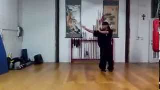 Basic Exercises  Baguazhang Great Palms 八大掌基礎練習 [upl. by Selrhc]