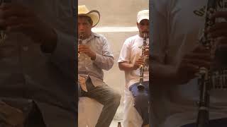 banda music musica shortvideo shorts oaxaca mexico [upl. by Nnyleuqaj]