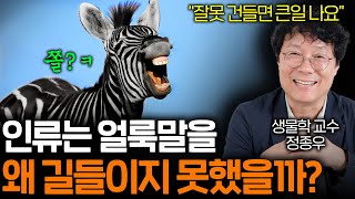 인간이 죽었다 깨어나도 절대 길들일 수 없는 동물 ㅋㅋ [upl. by Janyte106]