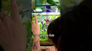 Why Betta Fish NEED Live Plants [upl. by Manvil920]