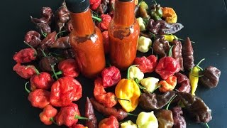 Making Hot Sauce Using The Hottest Peppers [upl. by Snowber336]