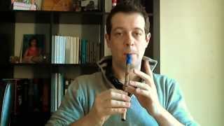 Tin Whistle Comparison Generation Susato Menager Abell [upl. by Eem854]