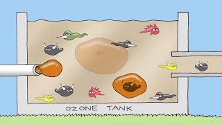 Tertiary treatment of sewage at the Eastern Treatment Plant  Melbourne Water [upl. by Oribel]