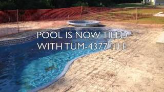 Pools and Palms Fiberglass Pools Oceanwalk Community [upl. by Cosenza]