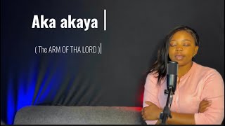 Vimby Vee  Aka Akaya cover hallelujahchallenge worship [upl. by Monsour341]