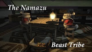 FFXIV The Namazu Beast Tribe  Unlock amp Tips [upl. by Brodeur]