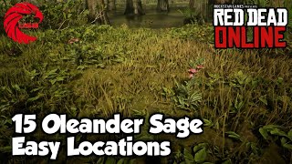 Oleander Sage Locations RDR2 Online  Red Dead Online Oleander Sage Location Guide [upl. by Ermina]