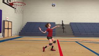 Volleyball Animation Tutorial  All Animations [upl. by Derdlim]