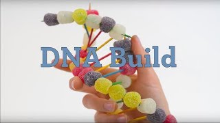 DNA Build [upl. by Fosdick]