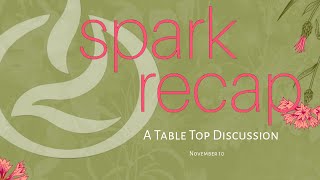 111024 Spark Marriage Conference Recap  Lakewood Marriage Ministry [upl. by Alleris]