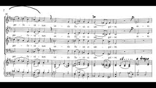 Ave verum corpus Mozart  Bass practice [upl. by Trebornhoj217]