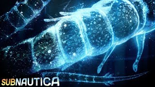 Subnautica  THERES ANOTHER WORLD OUT THERE  The Dead Zone  Subnautica Full Release Gameplay [upl. by Dopp]