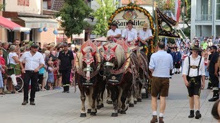 Die Highlights vom Volksfestauszug 2019 [upl. by Namrac]