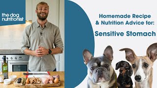 Sensitive Stomachs  Homemade Dog Food Recipe by The Dog Nutritionist [upl. by Ailem804]