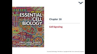 Cell Signaling Basics [upl. by Crenshaw395]