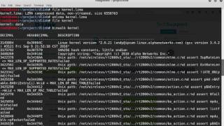 Introduction to Firmware Reversing [upl. by Skillern33]