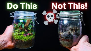 10 ESSENTIAL Terrarium Tips For Beginners [upl. by Grae]