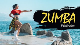 ZUMBA DANCE Танцевальная Тренировка для Похудения в Домашних условиях [upl. by Llerrahs]