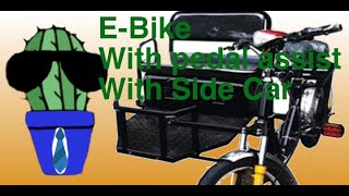 NWOW EPedicab Review Part 1 [upl. by Einahpet961]