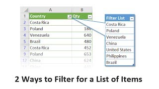 Get Filtered 2 Ways To Filter For A List Of Items In Excel [upl. by Esyak]